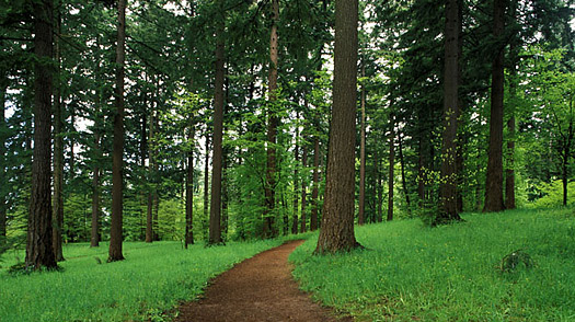 portland_park